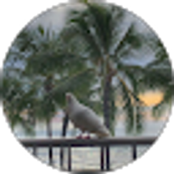 Profile photo of Michelle Myfelt