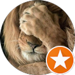 Profile photo of Rosemarie Rizzo (SpeedyCat)