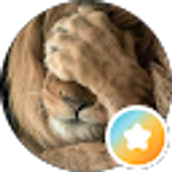 Profile photo of Rosemarie Rizzo (SpeedyCat)