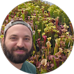 Profile photo of Joseph Bevilacqua