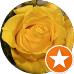 Profile photo of Jen & Joe L