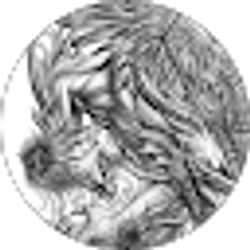 Profile photo of Nelson R