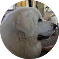 Profile photo of D WRIGHT