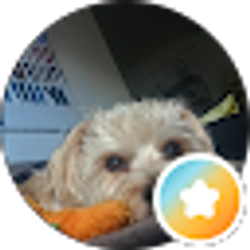 Profile photo of Andy Wong