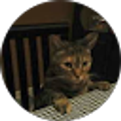 Profile photo of frank rozell