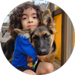 Profile photo of stephen todd