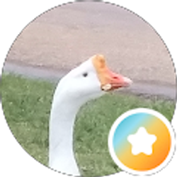 Profile photo of Adrian Alvarez