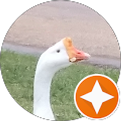 Profile photo of Adrian Alvarez