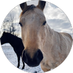 Profile photo of Melanie Antonio