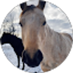 Profile photo of Melanie Antonio