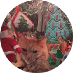 Profile photo of Tracy Offermann