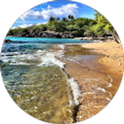 Profile photo of ashley park