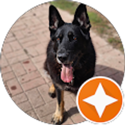 Profile photo of Anthony Fiorenza