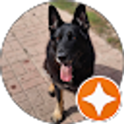 Profile photo of Anthony Fiorenza