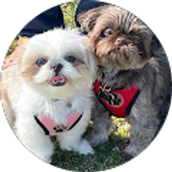 Profile photo of Sarah-ruth Cantu