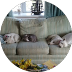 Profile photo of David Cox