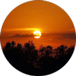 Profile photo of Michelle Carlquist
