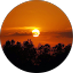 Profile photo of Michelle Carlquist