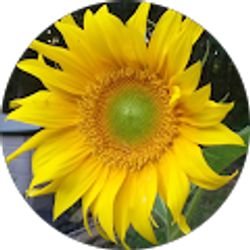 Profile photo of gnatslanding g