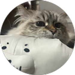 Profile photo of j hl