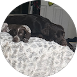 Profile photo of Stefany Arana