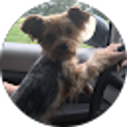 Profile photo of Stephanie Spillman