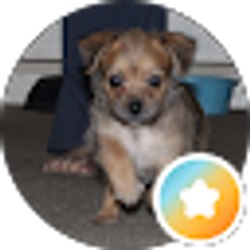 Profile photo of KAIPO SPENCER