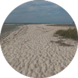 Profile photo of Jimmy Fife (Big daddy)