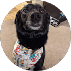 Profile photo of Charlie