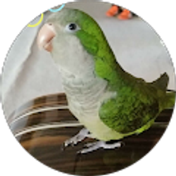 Profile photo of B M (Motita09)