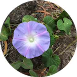 Profile photo of M. R.