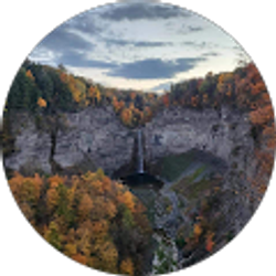 Profile photo of Suzanne Ward