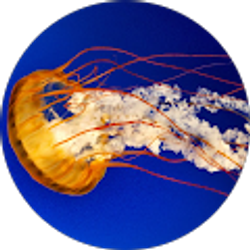 Profile photo of Elliott brooks