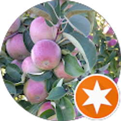 Profile photo of Jared Hansman