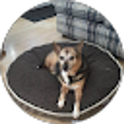 Profile photo of Sam