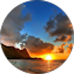 Profile photo of Bobby Koch