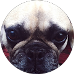 Profile photo of Alisha Hidalgo