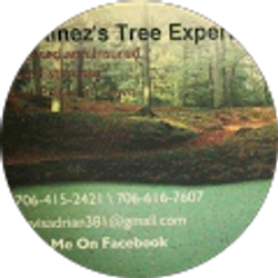 Profile photo of Adrian Davis