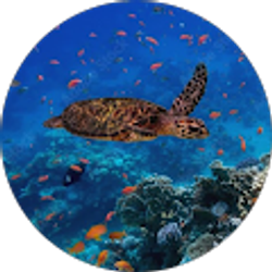 Profile photo of James Treadwell