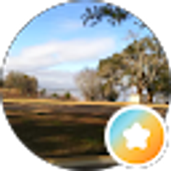 Profile photo of Debra Bradley