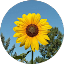 Profile photo of C H