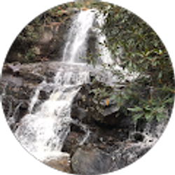 Profile photo of Cody Thompson