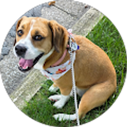 Profile photo of Jeff Smart