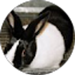 Profile photo of Jill Drury