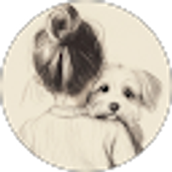 Profile photo of Paddington