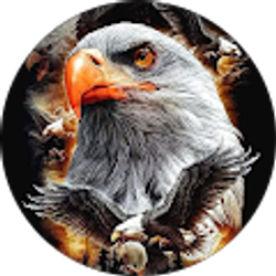 Profile photo of Taylor11211984