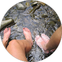 Profile photo of Jan H