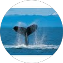 Profile photo of Ajay Wanchu