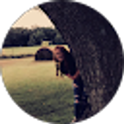 Profile photo of Tori Sutton