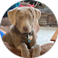 Profile photo of Barb Vaughn